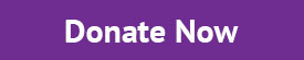 donate now