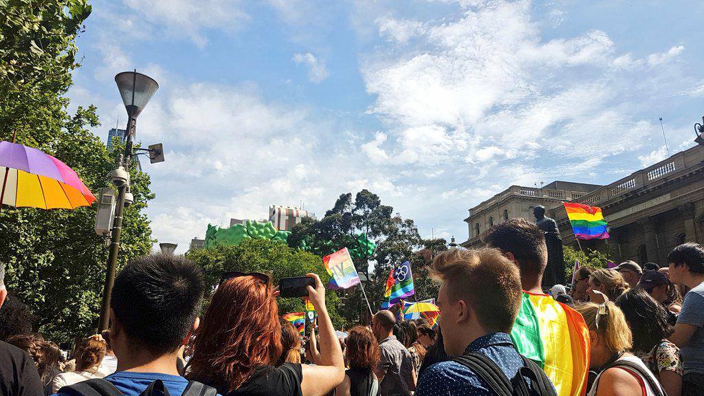yes The Yes announcement at the Victorian State Library. Photo: Jessica Jones