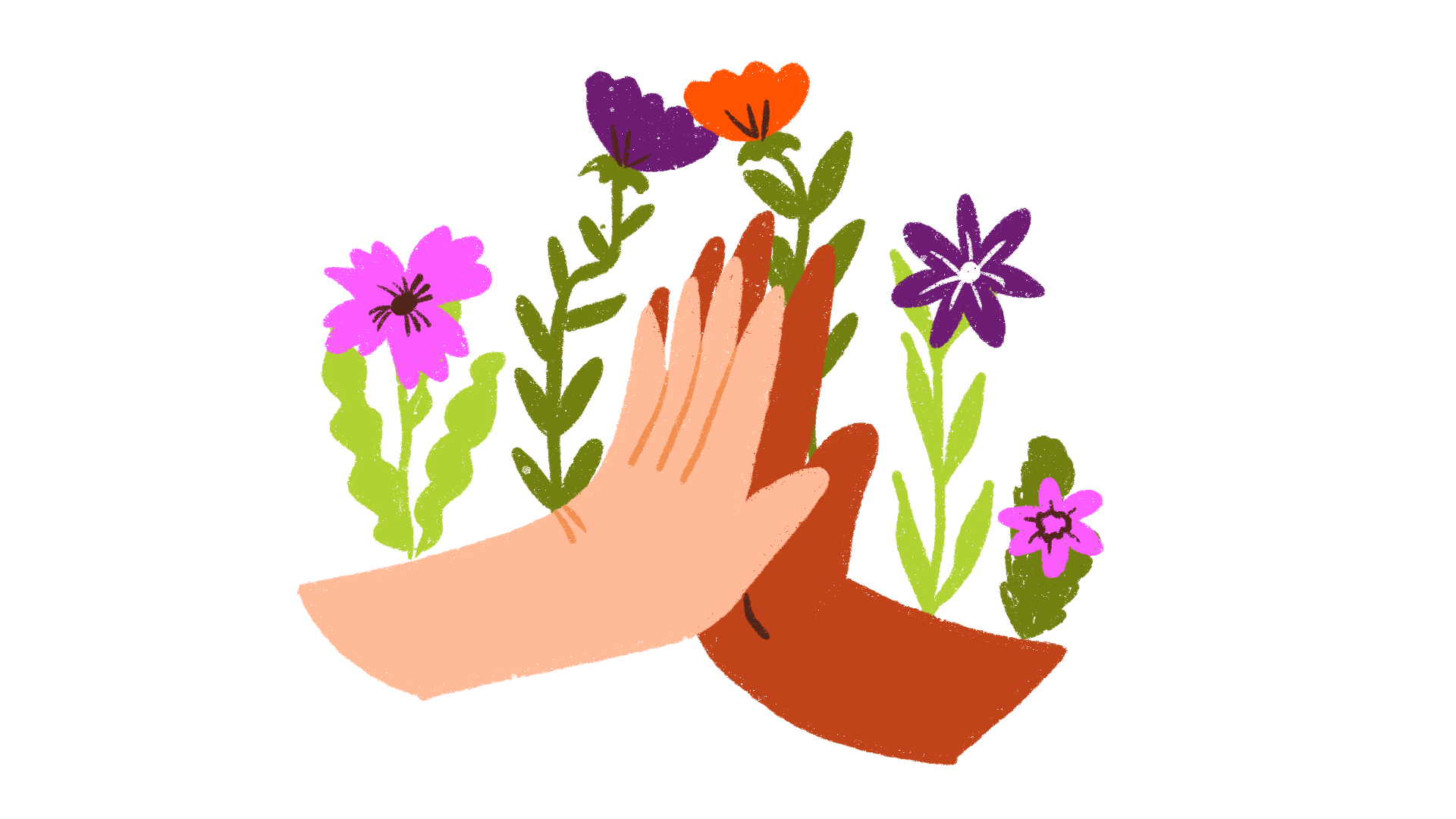 A warm illustration of two hands joining, symbolising connection and collective action. Surrounding, sprouting from the hands are bright leaves and flowers.